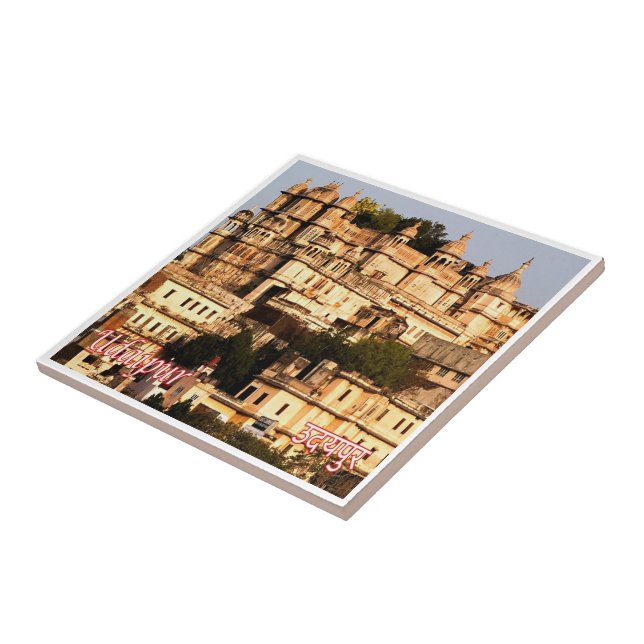 Carreau zIN016 Palais municipal d'UDAIPUR, Inde, Asie (Côté)