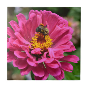 Carreau Zinnia rose et bourdon