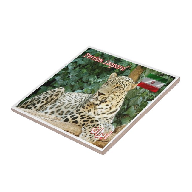 Carreau zIR006 PERSIAN LEOPARD, Iran, Asie, (Côté)