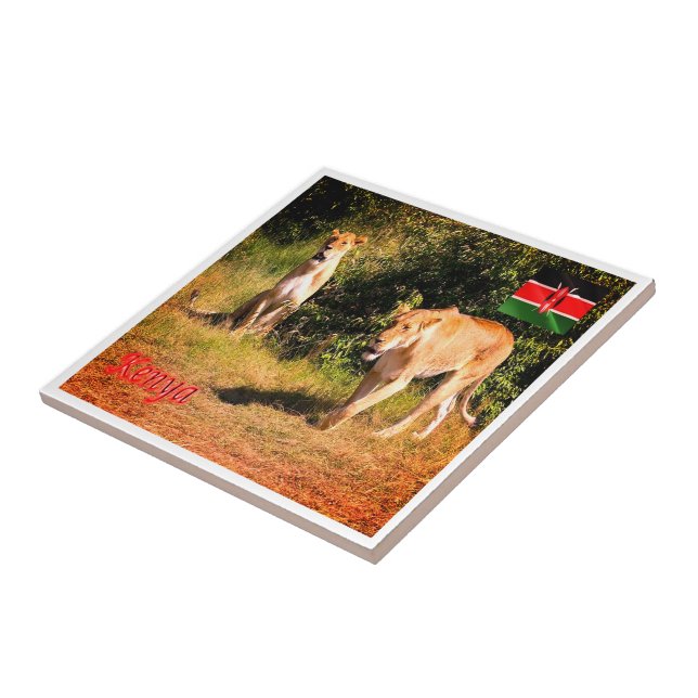 Carreau zKE005 KENYA, Lions, Afrique, (Côté)
