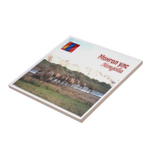 Carreau zMN008 KHONGORYN ELS CAMELS, Mongolie,