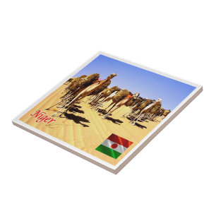 Carreau zNE007 NIGER, Oasis Bilma, Afrique,