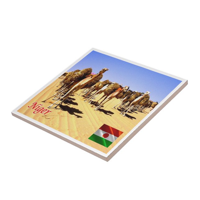 Carreau zNE007 NIGER, Oasis Bilma, Afrique, (Côté)