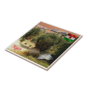 Carreau zNE008 NIGER, Oasis Bilma, Afrique,