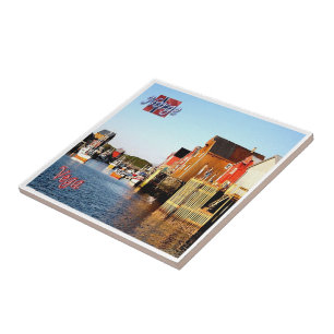 Carreau zNO143 VEGA, Norvège,