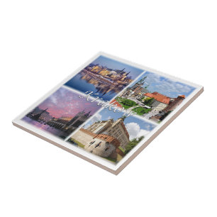 Carreau zPL009 KRAKOW, Pologne, Europe,