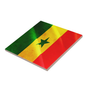 Carreau zSN002 SÉNÉGAL, Drapeau, Afrique, Réfrigérateur
