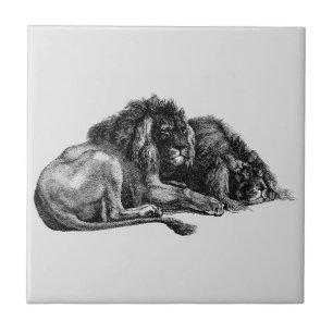 Carreaux Antiques Art lions