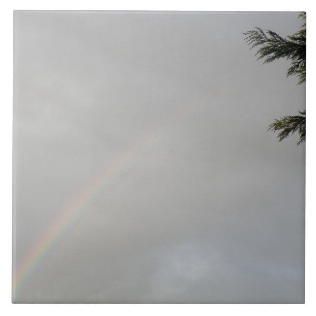 Carreaux arc-en-ciel (Devant)