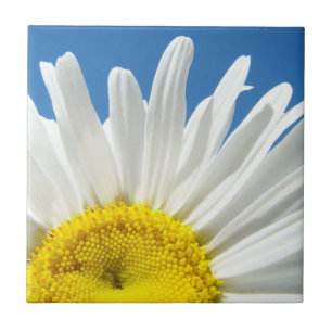 Carreaux Art Fleurs de Marguerite Blanche Ciel Ble