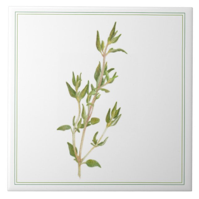 Carreaux céramiques FRAIS THYME 6x6 (-texte) (Devant)