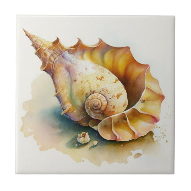 Carreaux d'aquarelle Haliotis Conch (Devant)