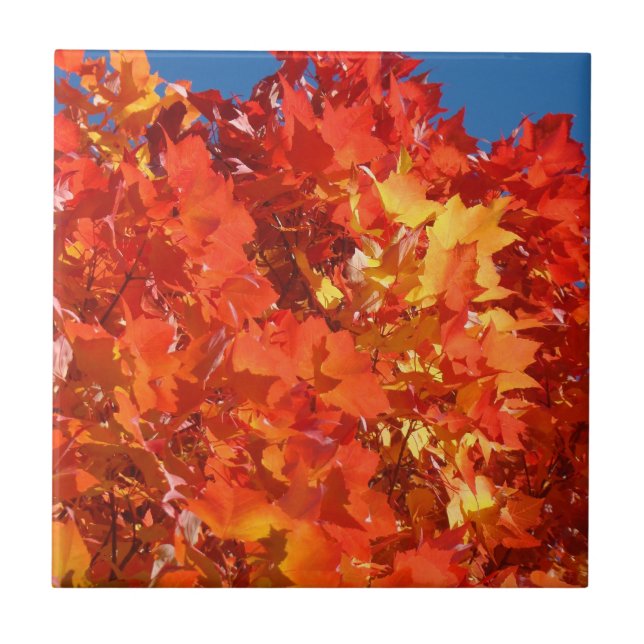 Carreaux d'automne Art Orange Feuilles d'arbre d'a (Devant)
