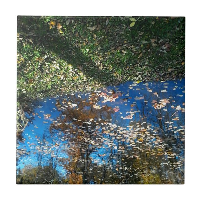 Carreaux d'automne Miroir Mirror (Devant)