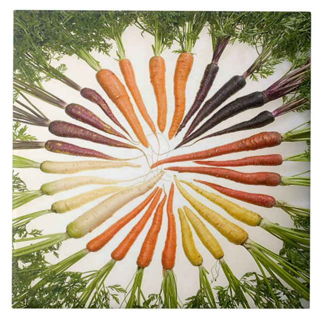 Carreaux de carottes multicolores arc-en-ciel (Devant)