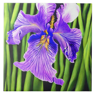 Carreaux de céramique bleu Iris