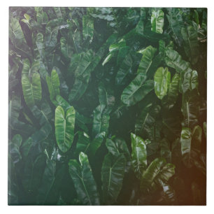 Carreaux de céramique de beau et élégant feuille