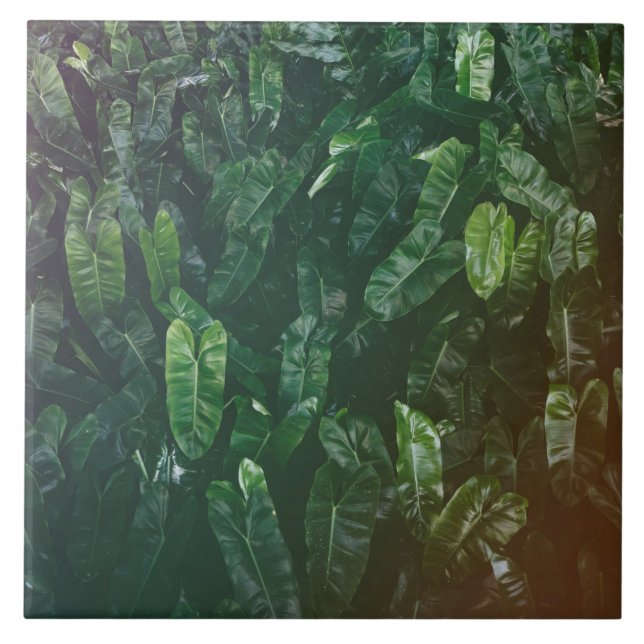 Carreaux de céramique de beau et élégant feuille (Devant)