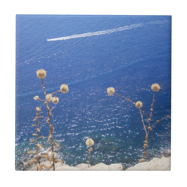 Carreaux de céramique de la mer bleue grecque (Devant)