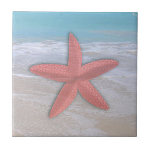 Carreaux de céramique d'étoile de mer sur la plage