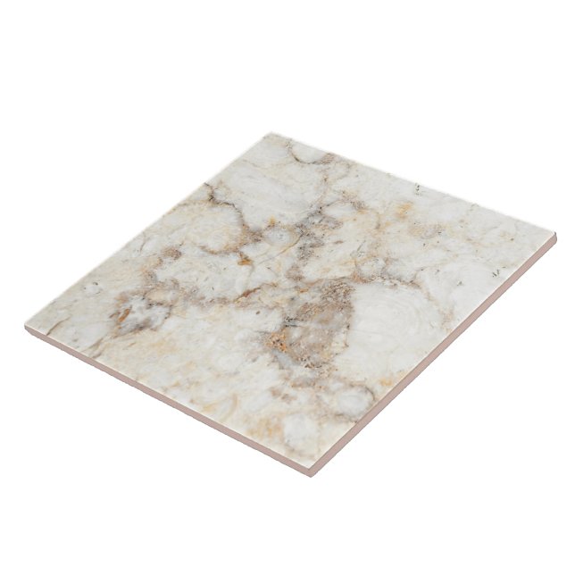 Carreaux de céramique en marbre faux (Côté)