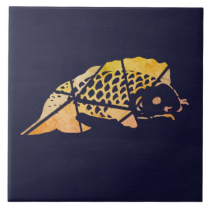 Carreaux de céramique Koi Fish