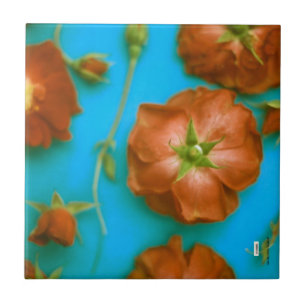 Carreaux de céramique rose