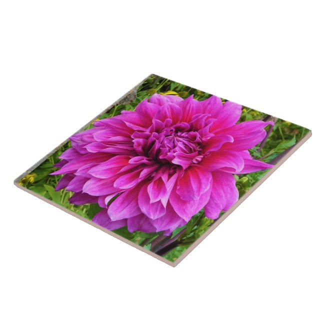 Carreaux de céramique rose Dahlia (Côté)