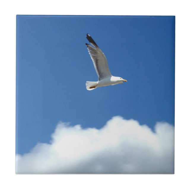 Carreaux de céramique Seagull (Devant)