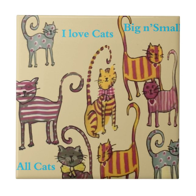 Carreaux de chats (Devant)