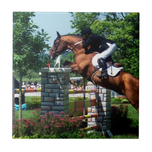Carreaux de Cheval de Grand Prix (Devant)
