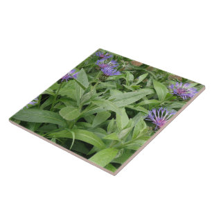 Carreaux de Cornflowers