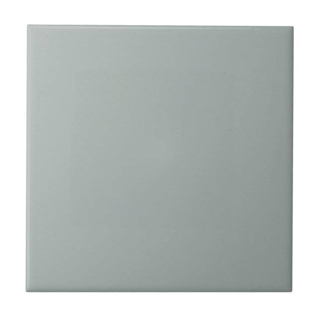 Carreaux de couleur uni gris gris clair simple (Devant)