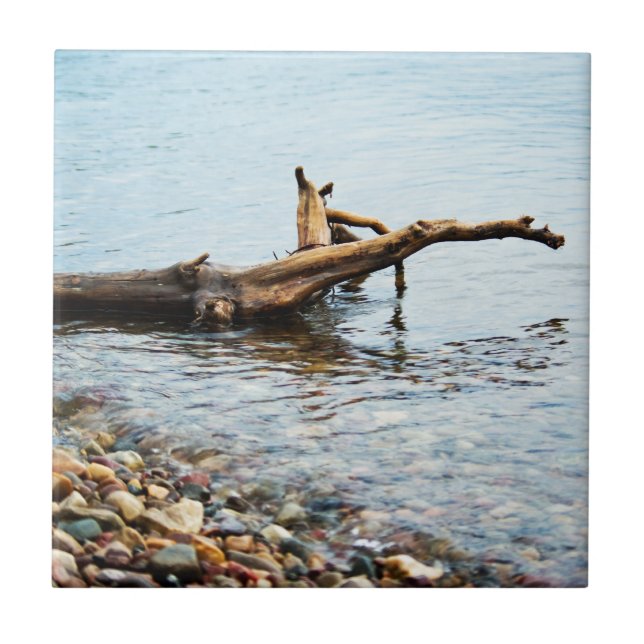 Carreaux de couleurs (Devant)