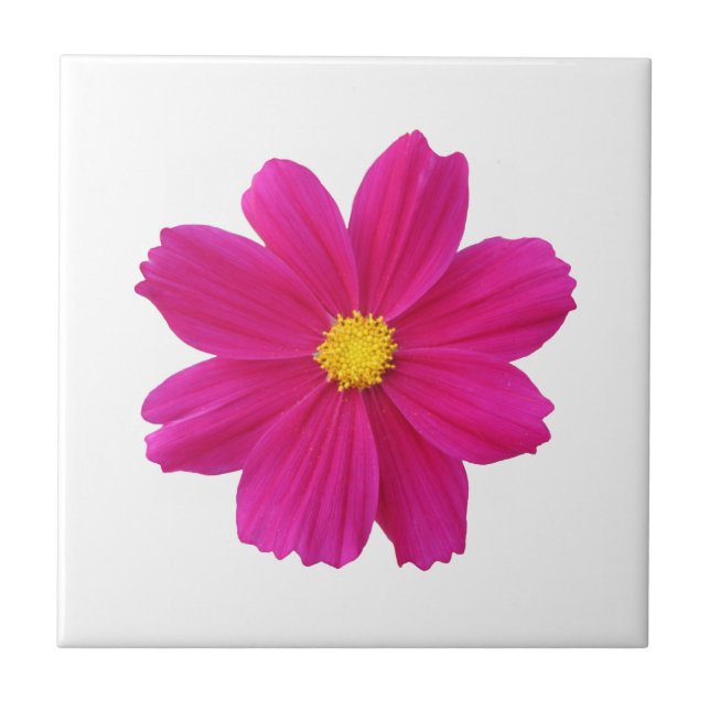 Carreaux de fleurs Cosmos (Devant)