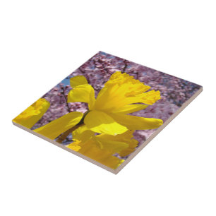 Carreaux de fleurs de jonquille Art Décoratif Prin