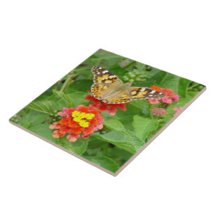Carreaux de fleurs papillon