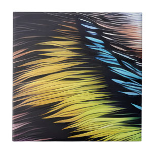 Carreaux de fourrure de chat Carreaux de céramique