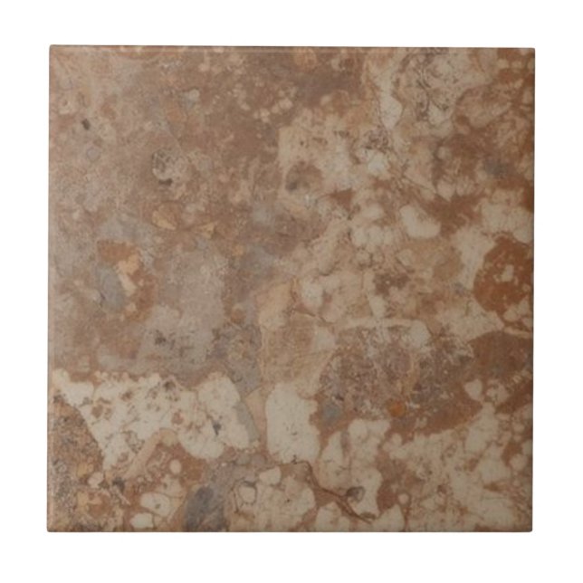 Carreaux de grès brun vintage rustique simple impr (Devant)