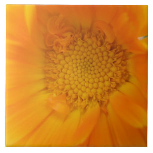 Carreaux de macro orange Marigold