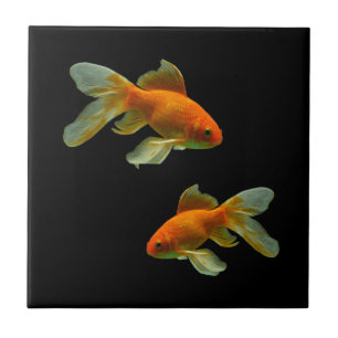 Carreaux de poisson rouge