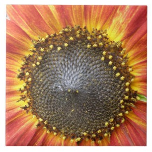Carreaux de tournesol rouge et jaune