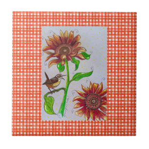 Carreaux de tournesol usés
