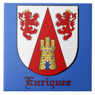 Carreaux décoratifs du Bouclier de la famille Enri