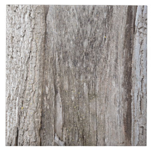 Carreaux d'écorce d'arbre