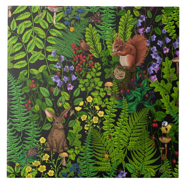 Carreaux en céramique (Devant)