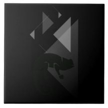 Carreaux en céramique