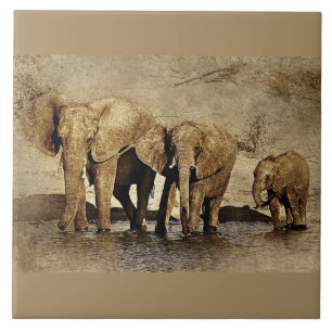 Carreaux en céramique