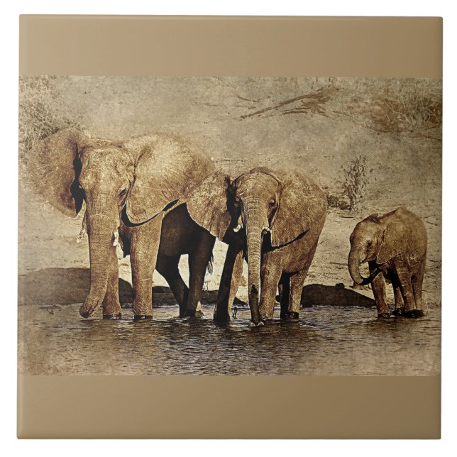 Carreaux en céramique (Devant)