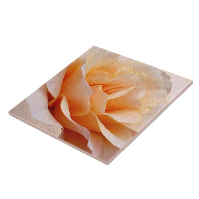 Carreaux en céramique (Côté)